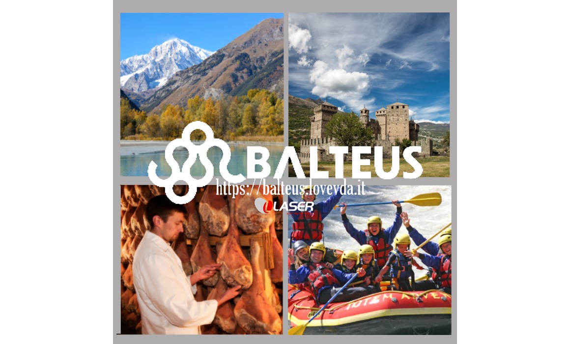 Balteus Web App Balteus